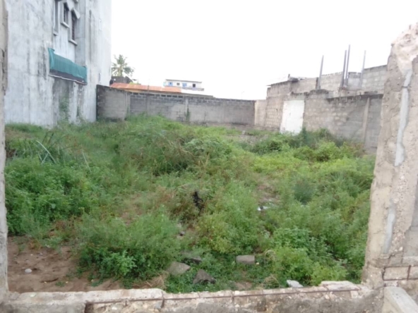 WhatsApp Image 2024-05-06 at 5.51.15 PM (1)