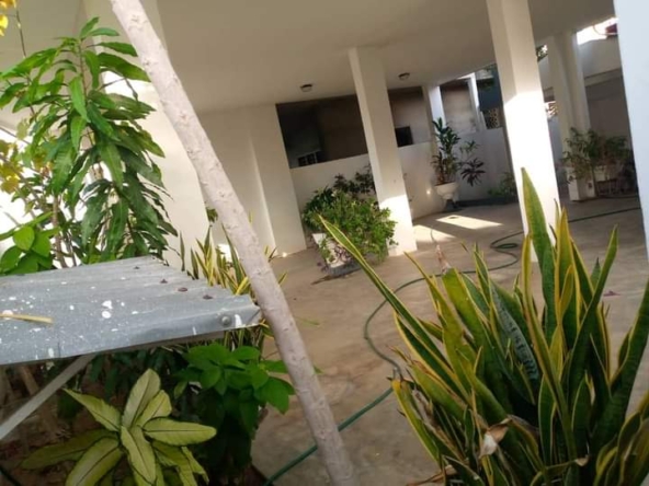 WhatsApp Image 2024-08-02 at 8.48.48 AM (3)