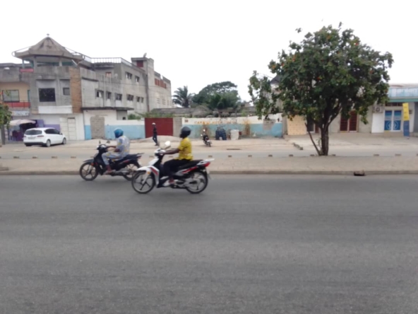 WhatsApp Image 2024-08-06 at 2.47.23 PM