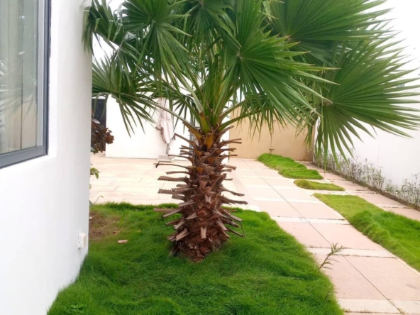 WhatsApp Image 2025-01-25 à 13.15.09_460a8dc5