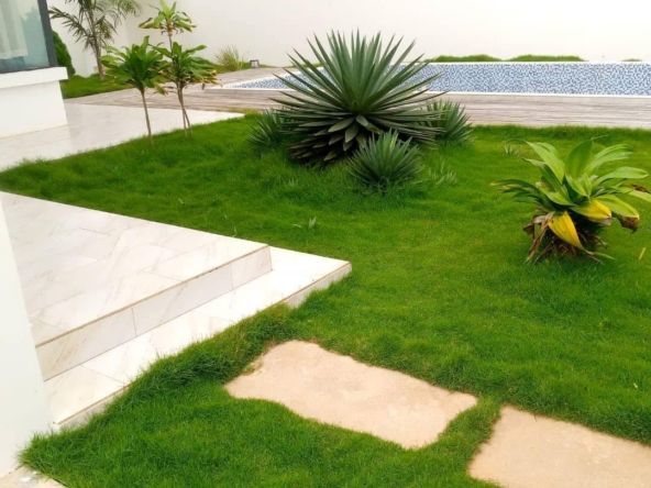 WhatsApp Image 2025-01-25 à 13.15.14_ceab3bb7