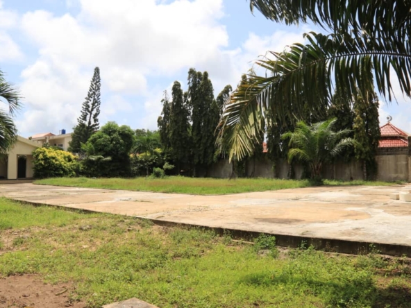 WhatsApp Image 2025-12-19 at 15.14.43 (1)