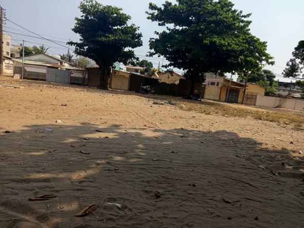 WhatsApp Image 2026-01-07 at 15.11.22 (1)