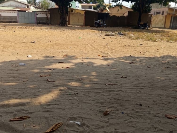 WhatsApp Image 2026-01-07 at 15.11.22