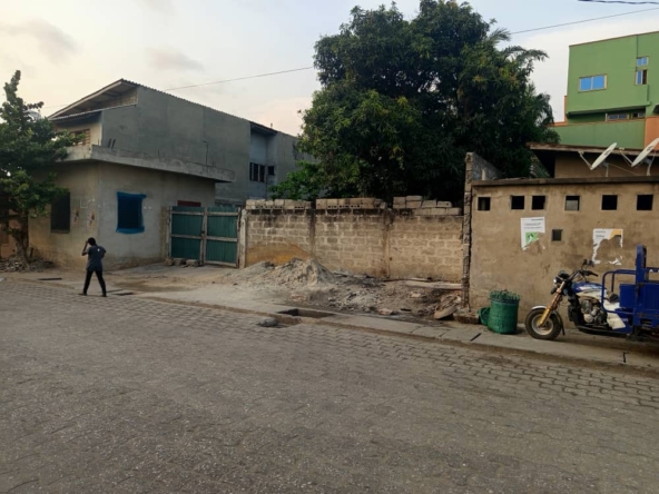 WhatsApp Image 2026-01-08 at 18.31.01