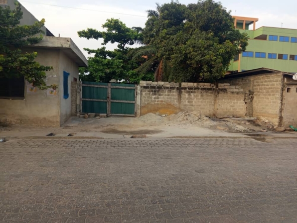 WhatsApp Image 2026-01-08 at 18.31.02