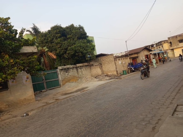 WhatsApp Image 2026-01-08 at 18.31.03