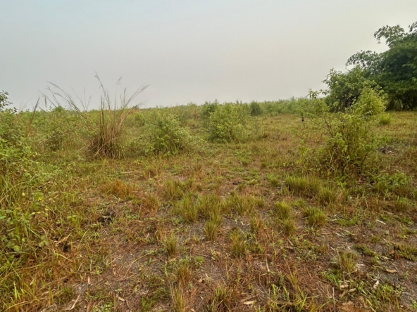 WhatsApp Image 2026-02-01 at 09.01.56