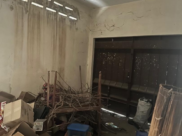 WhatsApp Image 2026-02-25 at 10.27.01 (3)