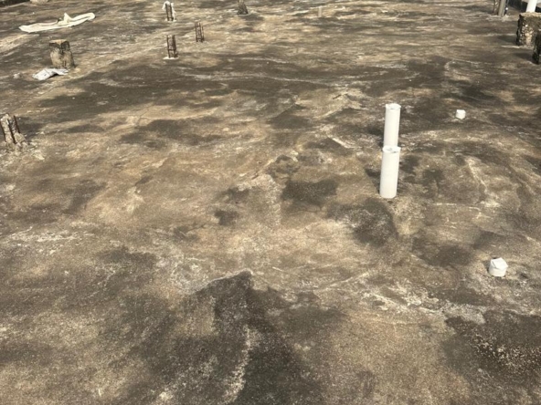 WhatsApp Image 2026-02-25 at 10.27.09 (3)